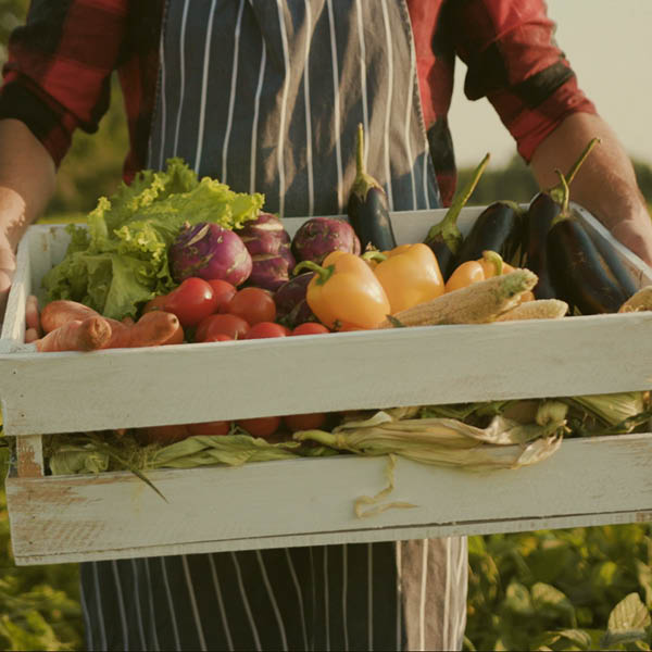 Geef voedsel een tweede kans met de No Waste Box van Vers Voor Vandaag. Ga voedselverspilling tegen en maak bewuste keuzes.